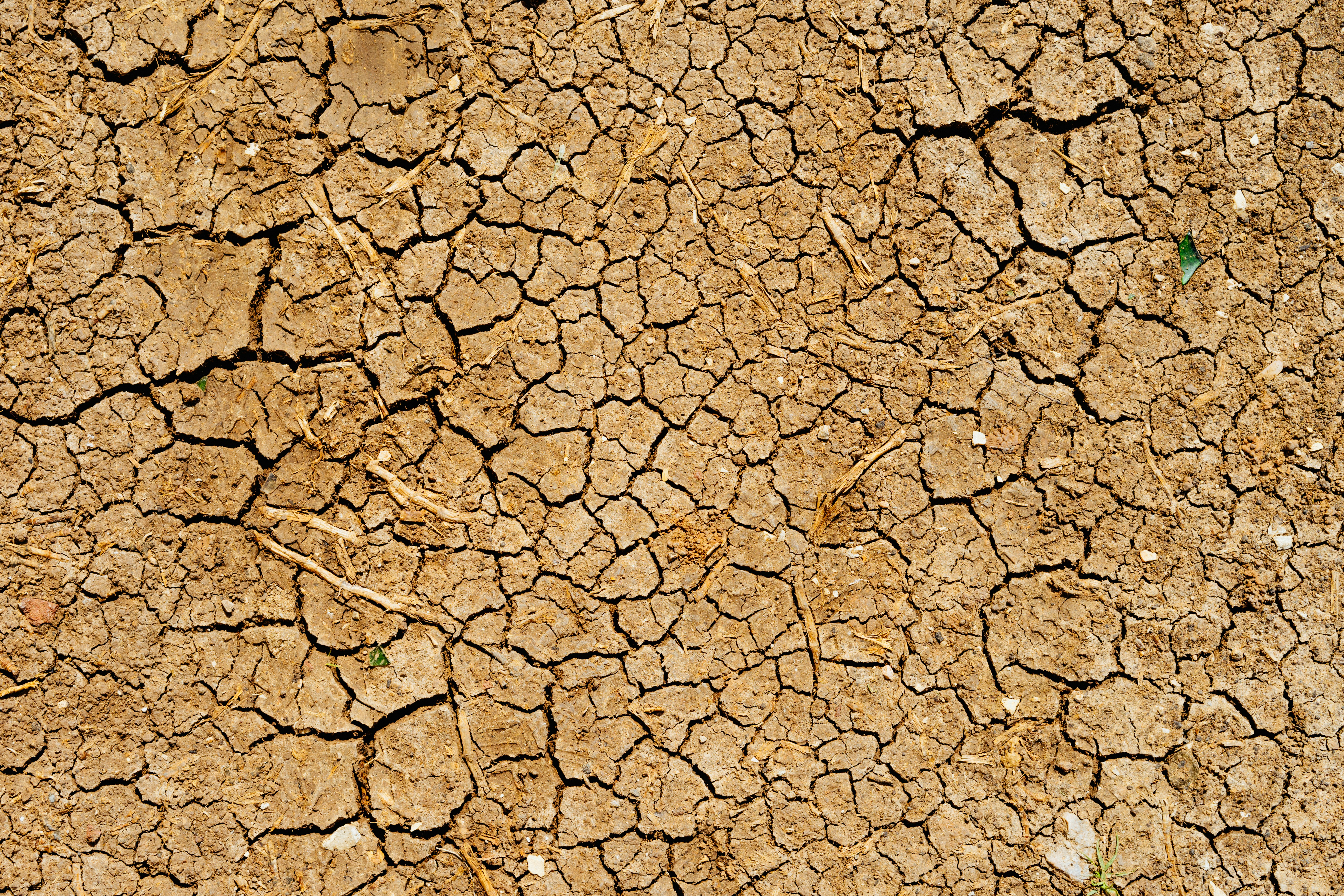 Cracked dry earth — aquifer depletion consequence