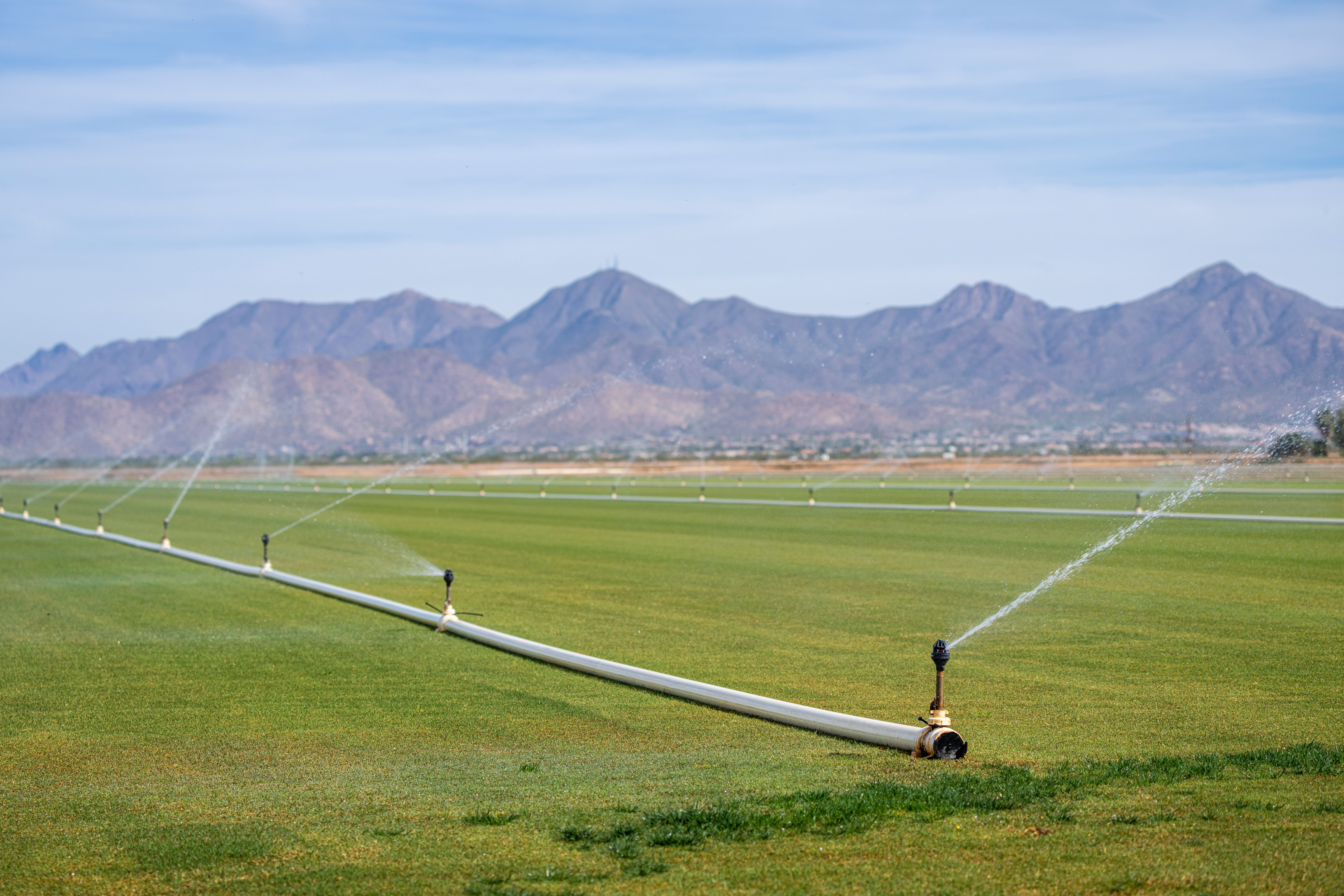 Arizona alfalfa field being irrigated with Arizona mountains in background